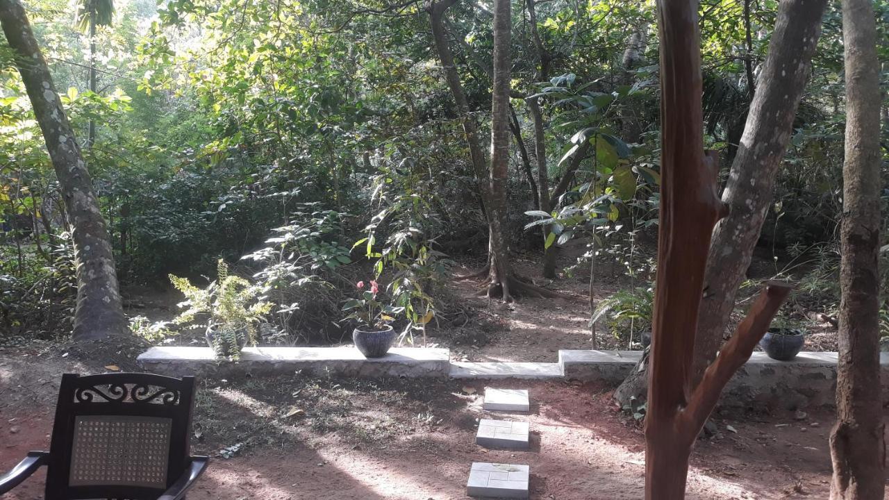 Freedom Villa Hiriketiya Dikwella Luaran gambar